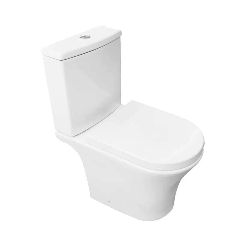 Earthenware Washroom Toilet