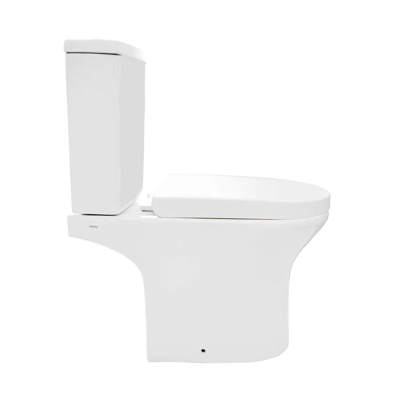 Earthenware Washroom Toilet