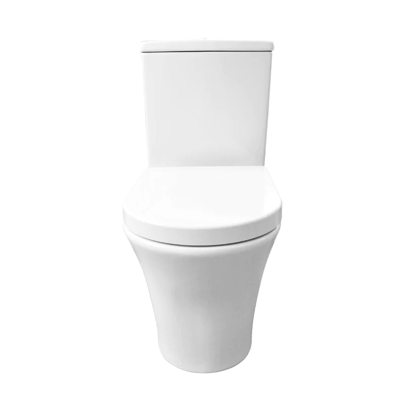 Earthenware Washroom Toilet