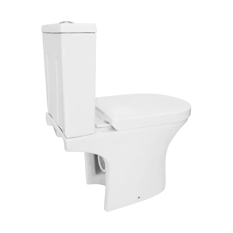 Earthenware Washroom Toilet