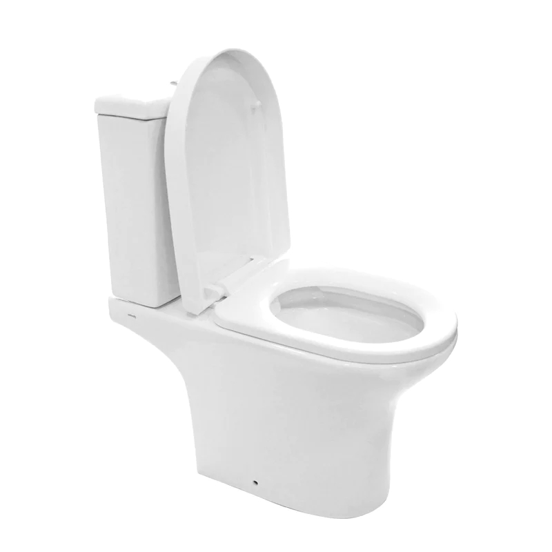 Earthenware Washroom Toilet