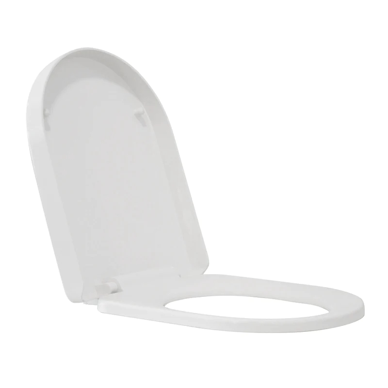 Earthenware Washroom Toilet