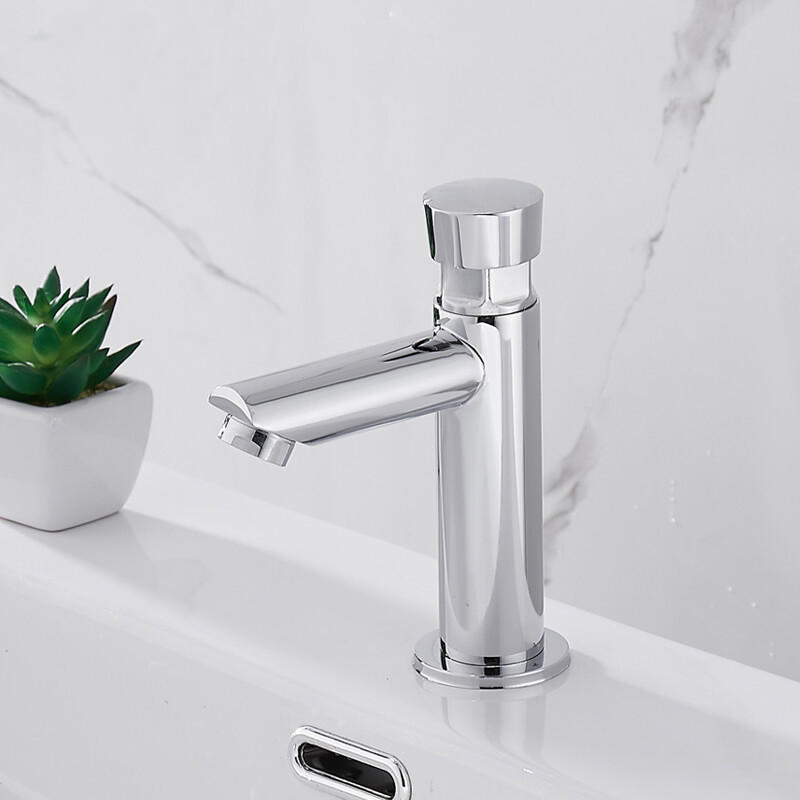 stainless steel time delay selfclosing faucet