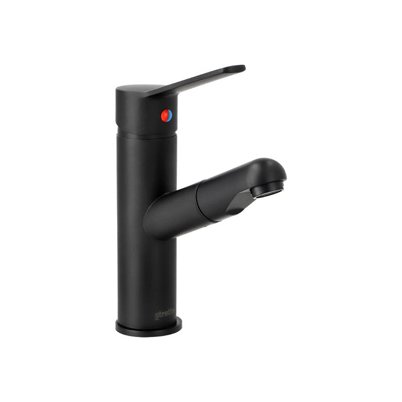 Black bathroom faucet with pull out sprayer